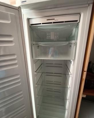 Congelatore Freezer verticale LIEBHERR