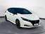 Immagine 7