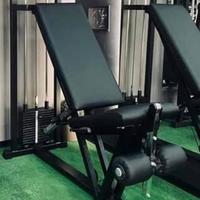LEG EXTENSION TECHNOGYM 