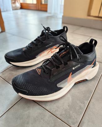 Nike performance Pegasus Trail 5 Goretex