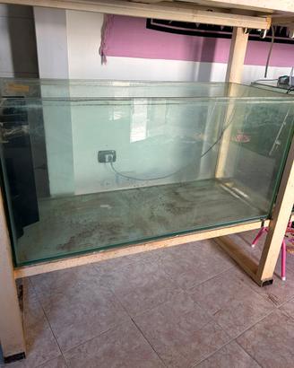 Acquario 300 litri