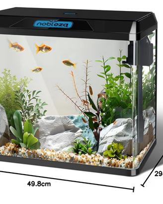 Acquario pesci