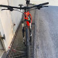 Bici mountain bike