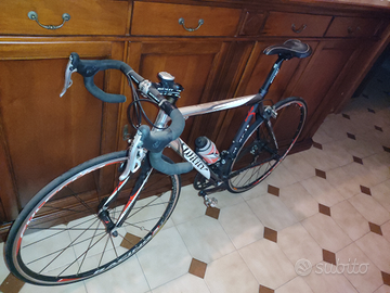 Bici da corsa wilier triestina