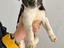 Immagine 3