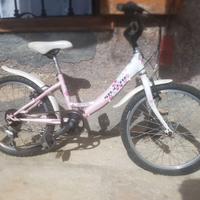 Mountain bike bambina 8-10 anni