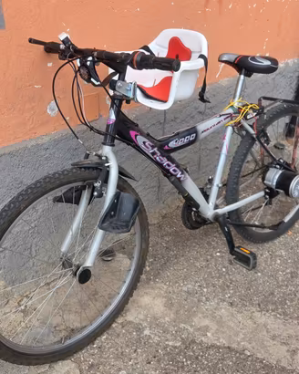 bicicletta 