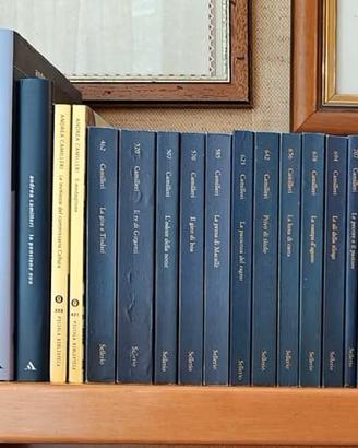 LOTTO 10 libri a scelta: gialli thriller narrativa