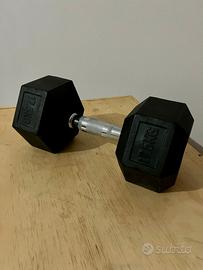 Dumbbell singoli da 12,5/17,5/20 kg