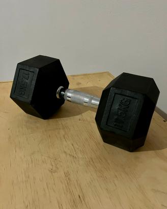 Dumbbell singoli da 12,5/17,5/20 kg