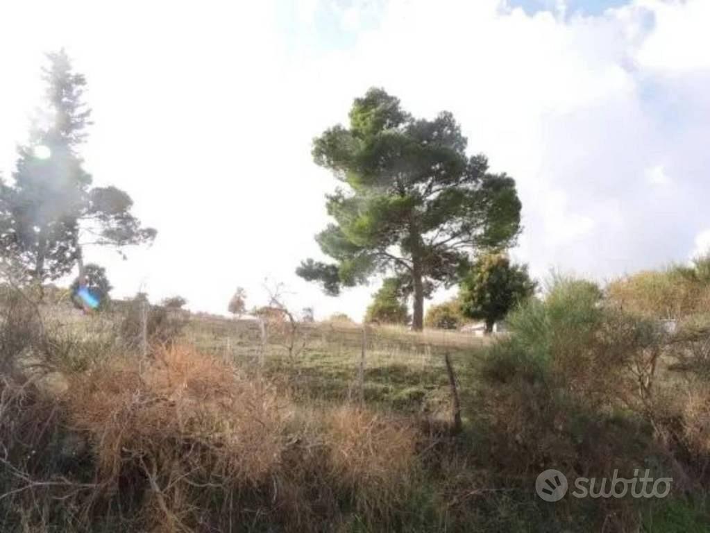 Immobile in asta di 1760 m² a Nicosia - Vista 2