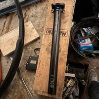 Reggisella thomson 29,8