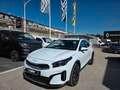 Kia XCeed 1.6 CRDi 136 CV MHEV iMT Business