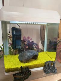 Acquario e accessori vari