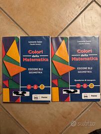 Colori della matematica geometria, edizione blu