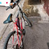 Mtb 24