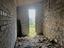 Immagine 14