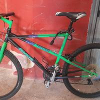 Mountain bike Bianchi Ragno Pholcus