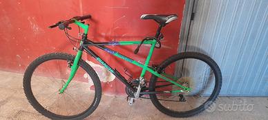 Mountain bike Bianchi Ragno Pholcus