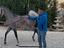 Immagine 1