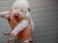 Immagine 1