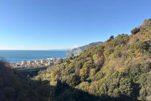 4 LOCALI A GENOVA