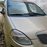 Lancia musa 