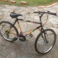 mountain-byke da uomo