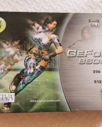 scheda video nvidia geforce 8600 gt