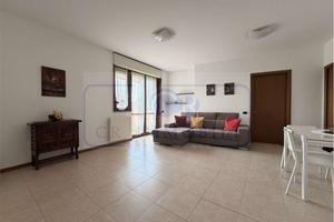 TRILOCALE ARREDATO LIBERO SUBITO