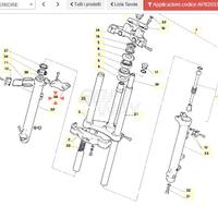 Piastra irrigidimento Aprilia Red Rose AP8203314
