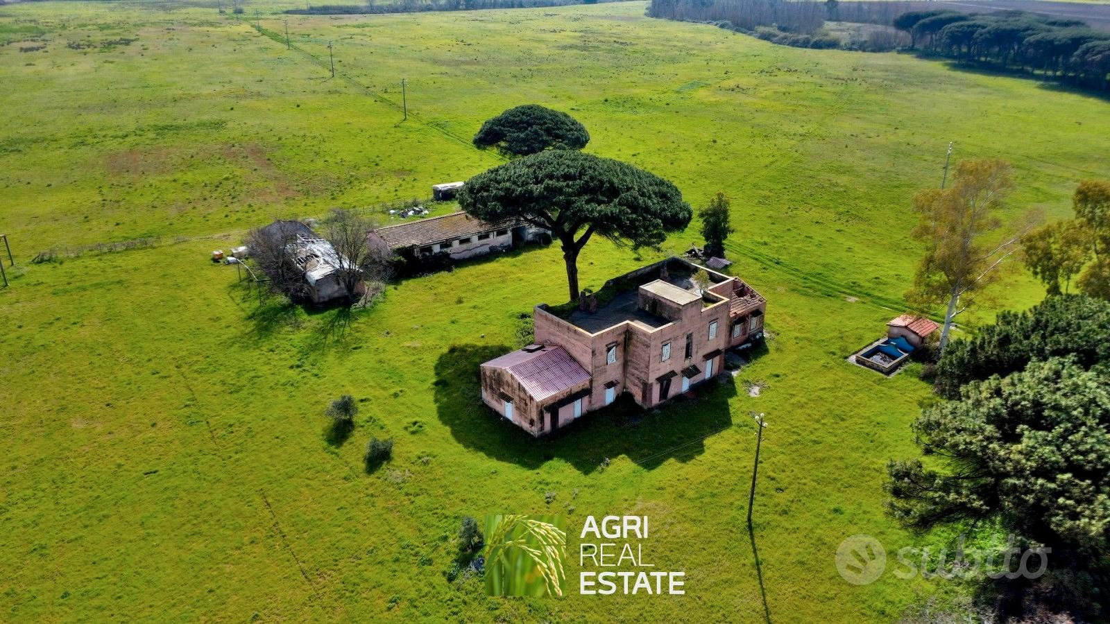 Terreno agricolo 51 HA con 1.000 mq di fabbricati - Vista 2