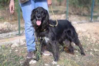 Milly, socievole e giovane aspetta la sua famiglia