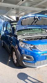 Peugeot rifter 