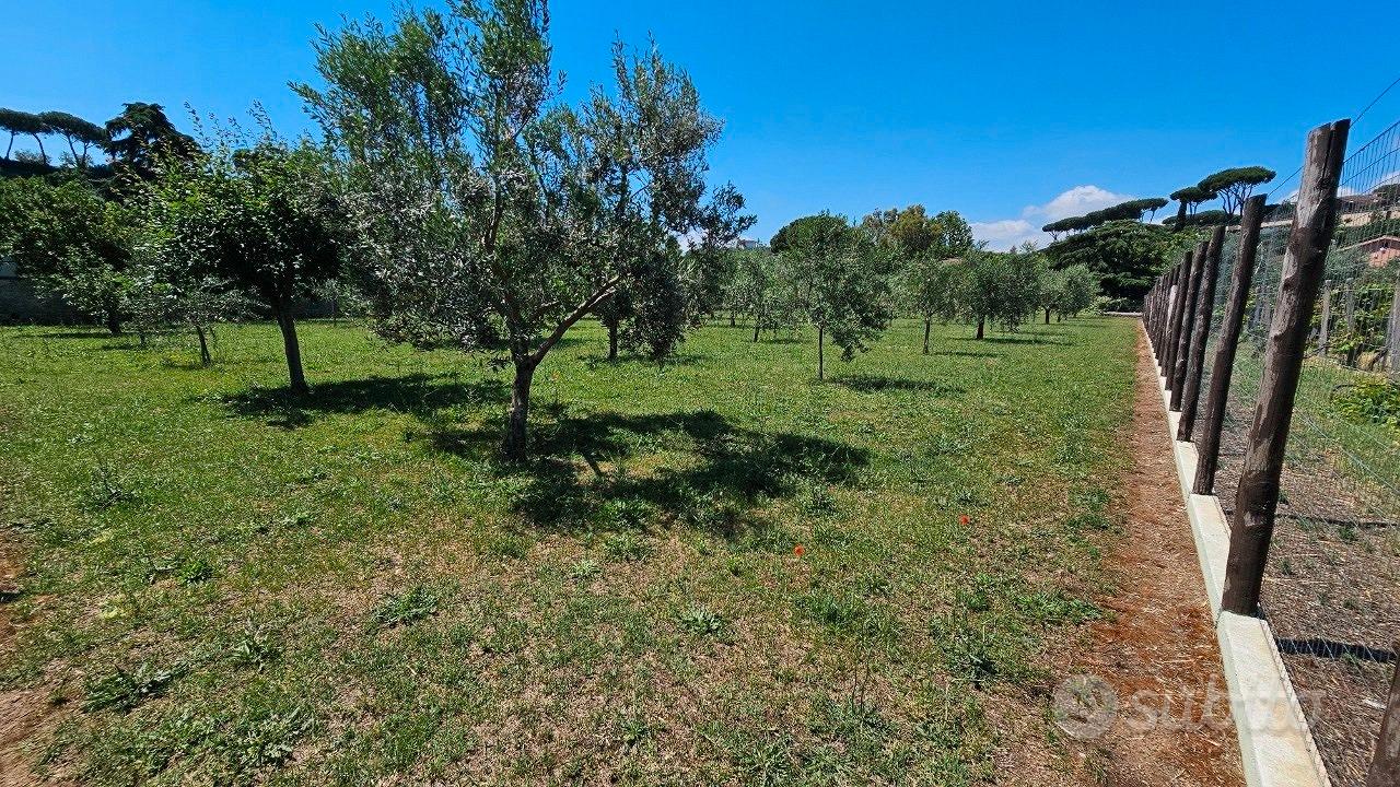 Frascati: terreno agricolo - Vista 3