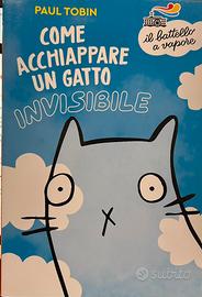 Come acchiappare un gatto invisibile