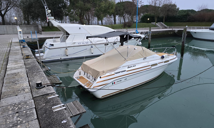 Sea Ray 230
