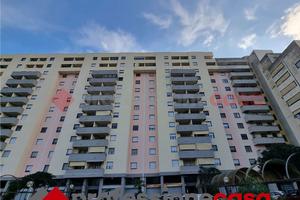 Appartamento composto da 4 vani e doppi servizi