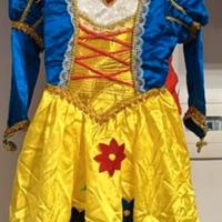 vestito carnevale