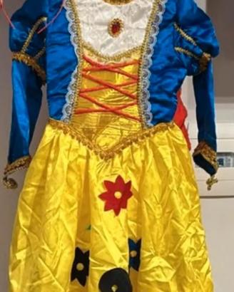 vestito carnevale