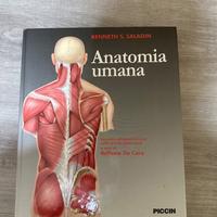 Anatomia umana
