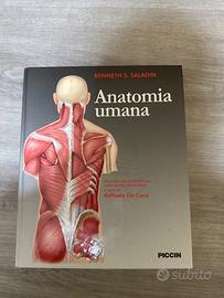 Anatomia umana