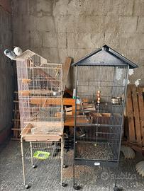 Coppia di voliere per uccelli