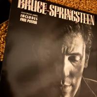Vinile bruce springsteen brilliant disguise