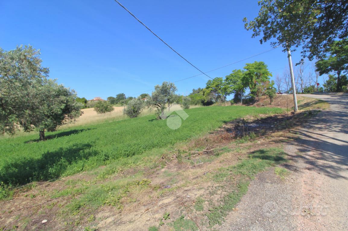 TER. AGRICOLO A MOSCIANO SANT'ANGELO - Vista 3