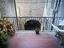 Immagine 11