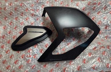 Protezione forcellone carbonio Ducati Panigale 