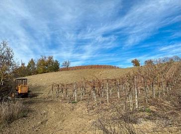 RGE 16/2021 Trib ENNA - LOTTO 5