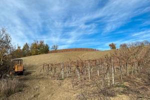 RGE 16/2021 Trib ENNA - LOTTO 5