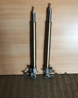 Forcelle bmw gs 1200/1250